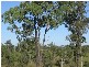 Booyal QLD 4671