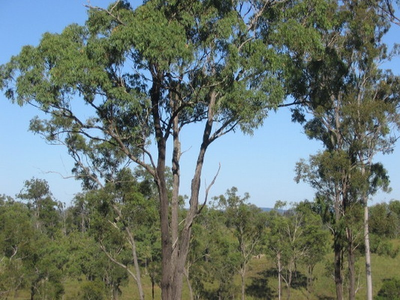 Booyal QLD 4671