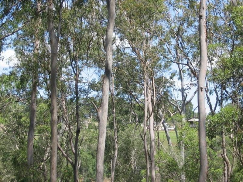 Childers QLD 4660