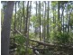 Childers QLD 4660