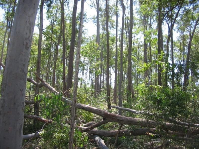 Childers QLD 4660