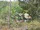 Childers QLD 4660