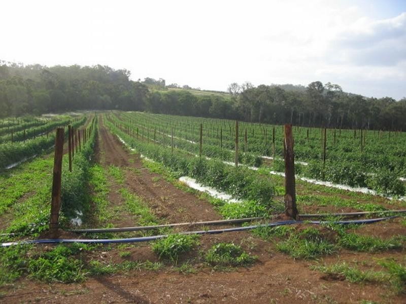 Childers QLD 4660