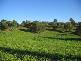 Childers QLD 4660