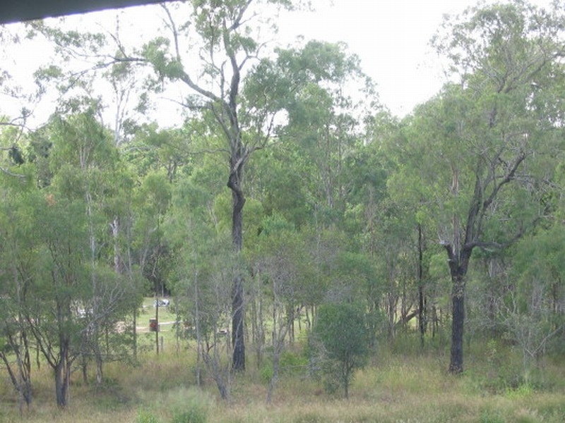 Apple Tree Creek QLD 4660