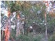 Woodgate QLD 4660