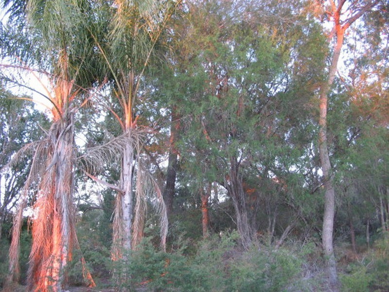 Woodgate QLD 4660