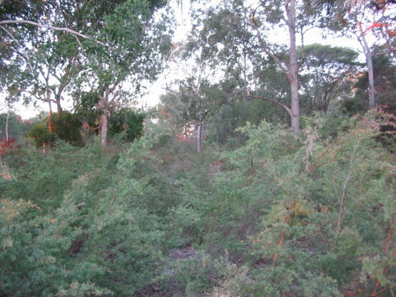 Woodgate QLD 4660