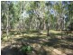 Apple Tree Creek QLD 4660