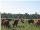 Gin Gin QLD 4671