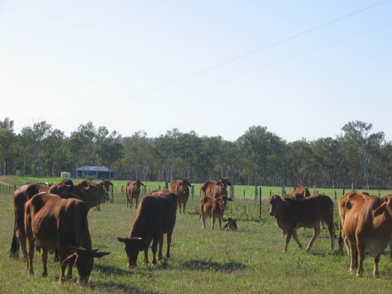 Gin Gin QLD 4671
