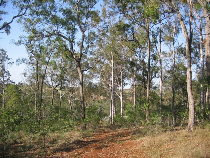 Apple Tree Creek QLD 4660