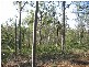 Apple Tree Creek QLD 4660