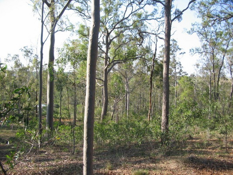 Apple Tree Creek QLD 4660