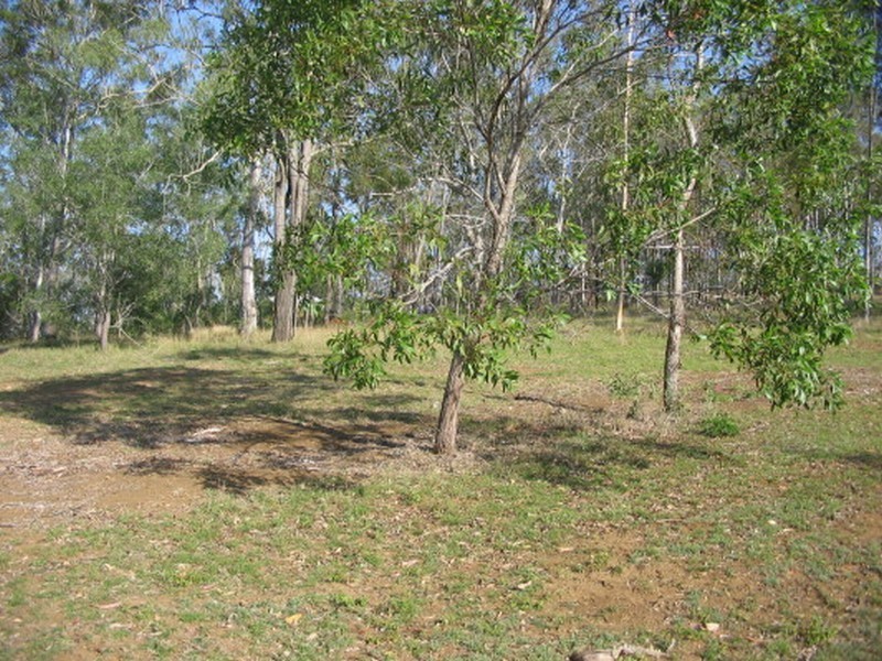 Apple Tree Creek QLD 4660