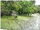 Buxton QLD 4660