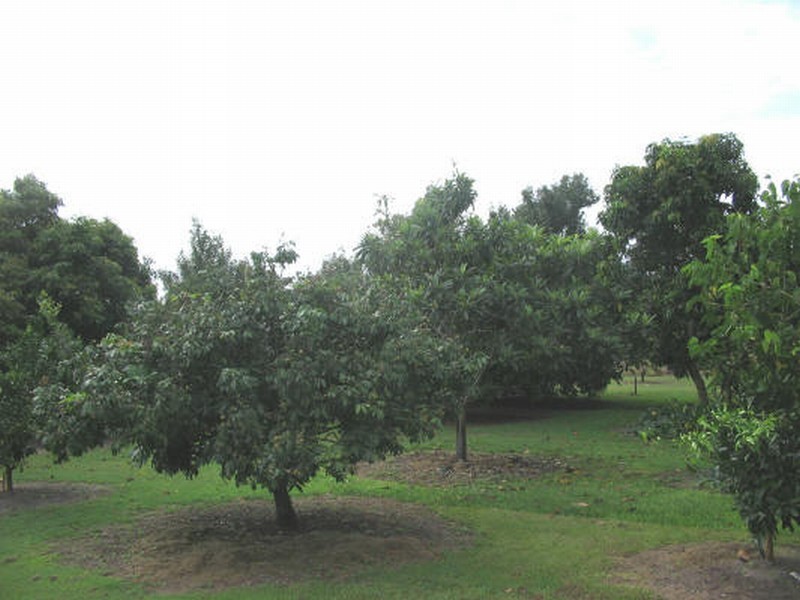 Buxton QLD 4660