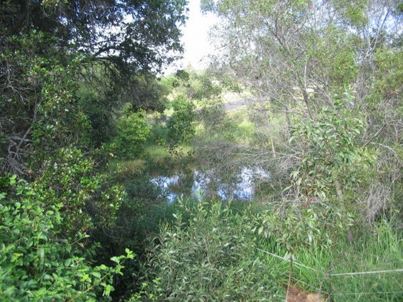 Apple Tree Creek QLD 4660