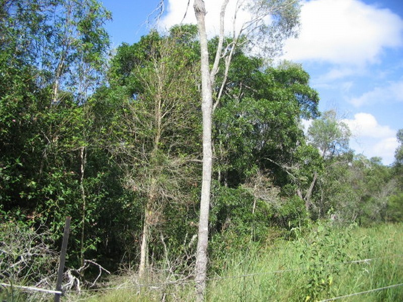 Apple Tree Creek QLD 4660