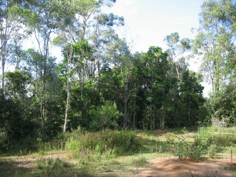 Apple Tree Creek QLD 4660