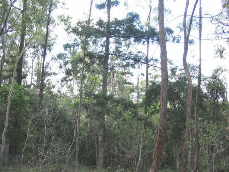 Apple Tree Creek QLD 4660