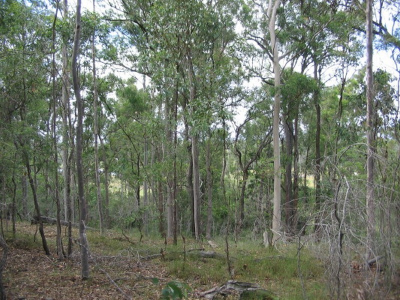 Apple Tree Creek QLD 4660