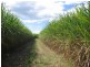 Childers QLD 4660