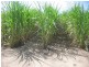 Childers QLD 4660