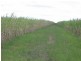 Childers QLD 4660