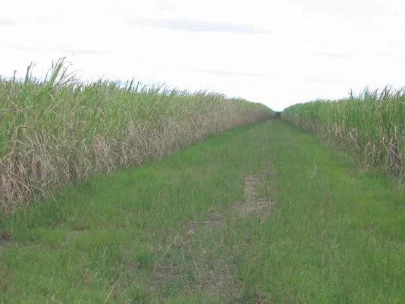 Childers QLD 4660