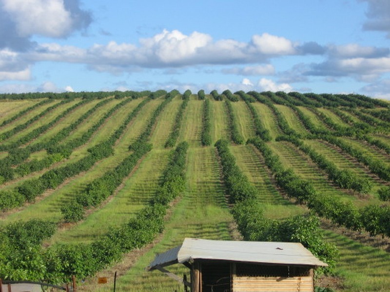 Childers QLD 4660
