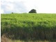 Childers QLD 4660