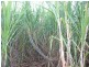 Childers QLD 4660