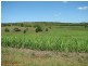 Childers QLD 4660