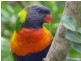 Childers QLD 4660