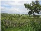 Childers QLD 4660