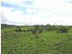 Childers QLD 4660