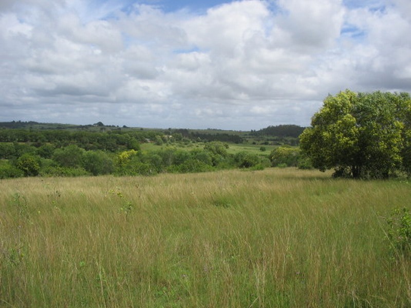 Childers QLD 4660