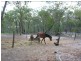 Childers QLD 4660
