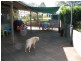 Apple Tree Creek QLD 4660