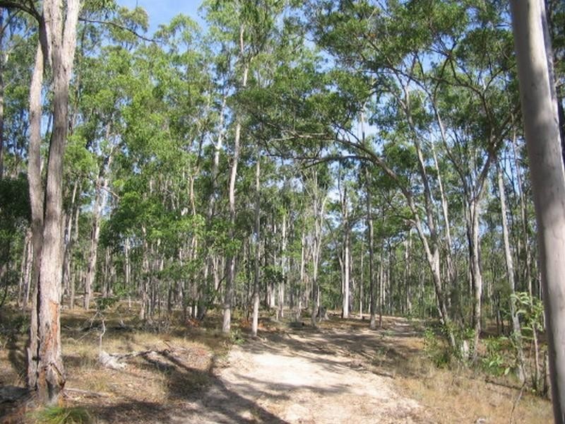 Apple Tree Creek QLD 4660