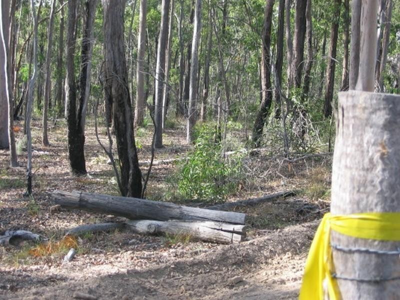 Apple Tree Creek QLD 4660