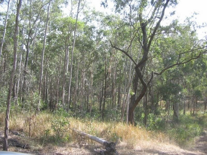 Apple Tree Creek QLD 4660