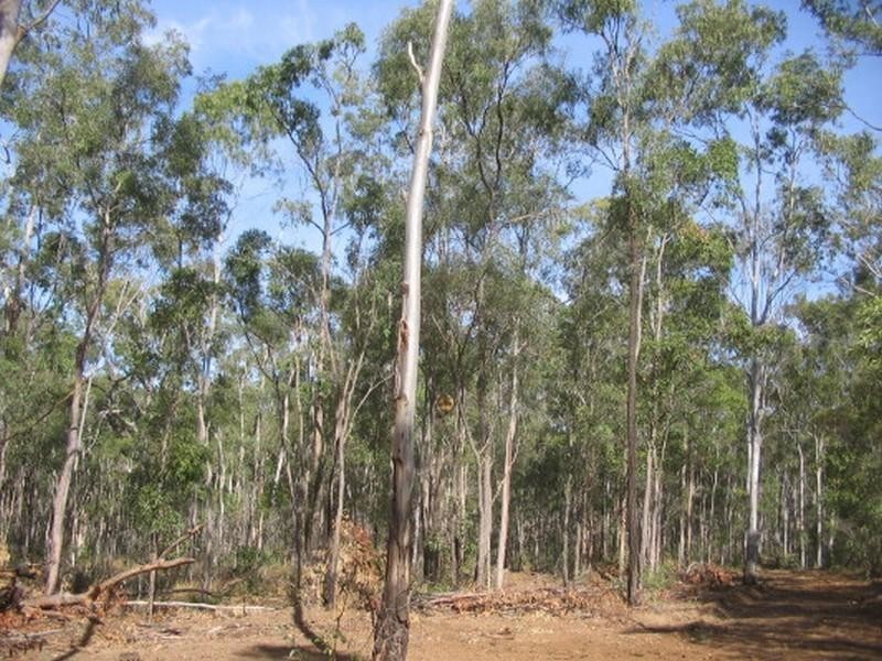 Apple Tree Creek QLD 4660