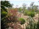 Buxton QLD 4660