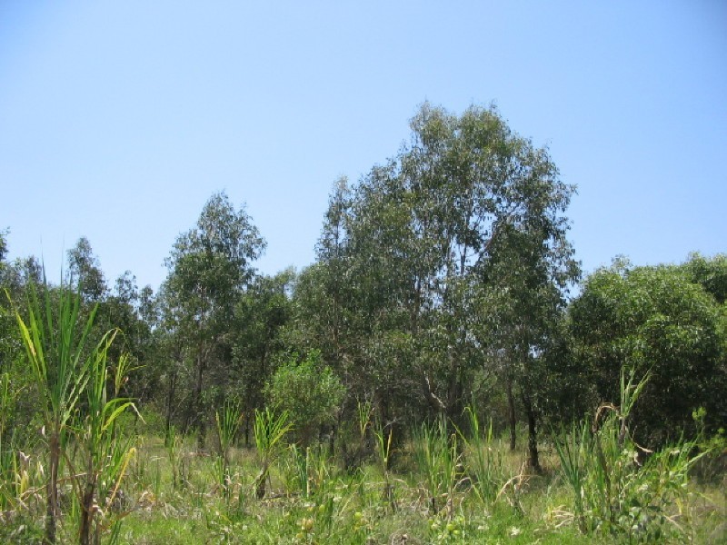 Childers QLD 4660