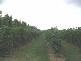 Childers QLD 4660
