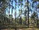 Childers QLD 4660