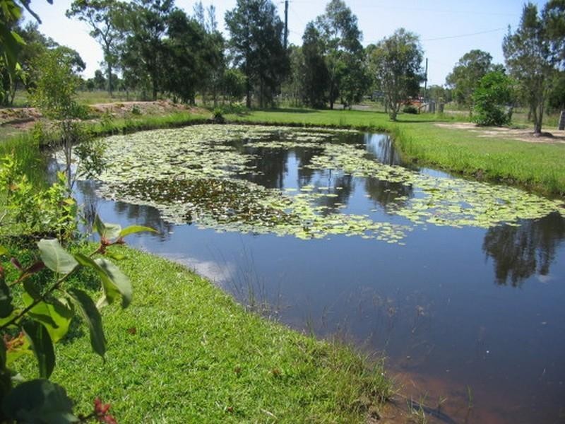 Buxton QLD 4660