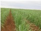Childers QLD 4660